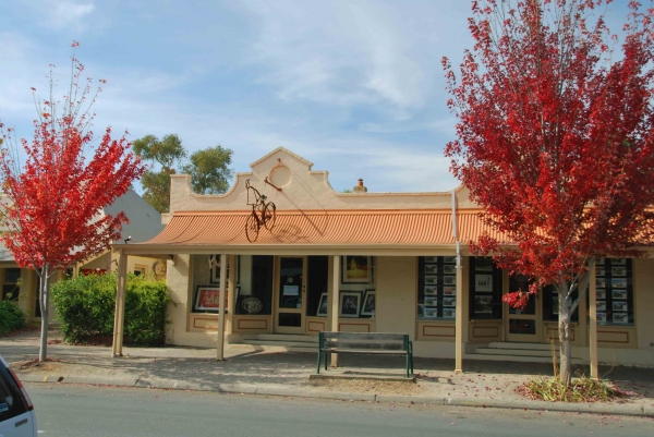 Zdjęcie z Australii - Jedna z galerii