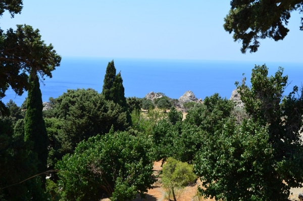 Zdjęcie z Grecji - MONI PREVELI