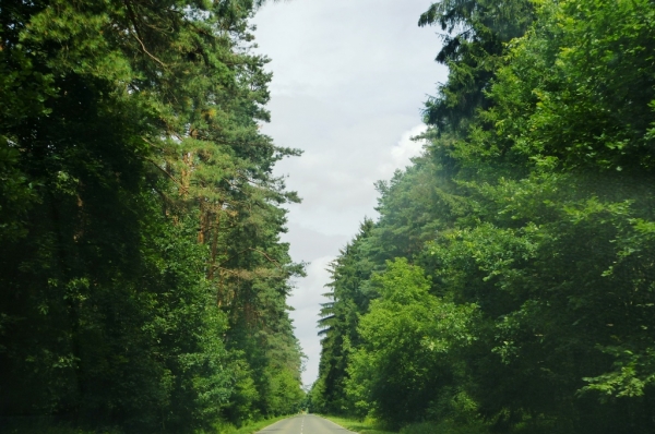 Zdjęcie z Polski - trasa