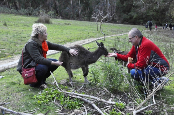 Zdjęcie z Australii - 