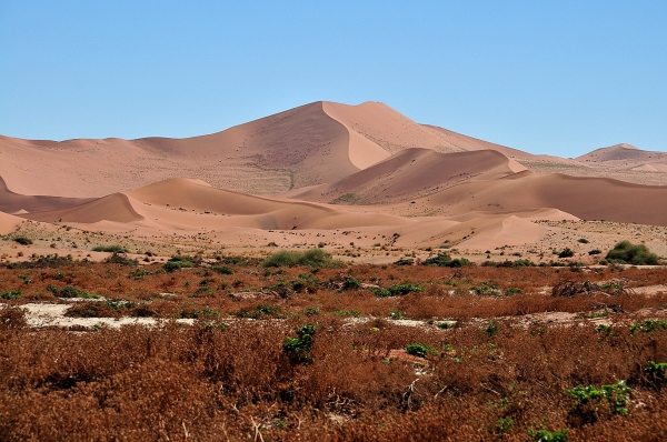 Zdjęcie z Namibii - 