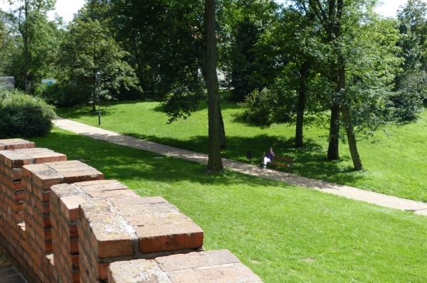 Zdjęcie z Polski - Opinogóra- Park
