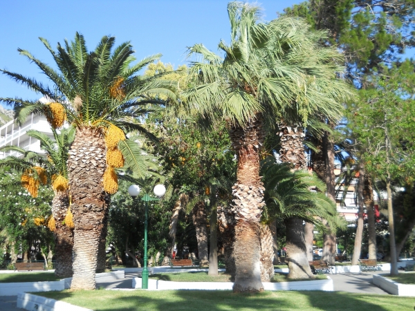 Zdjęcie z Grecji - Park w Loutraki