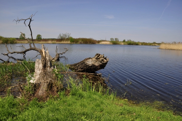 Zdjecie - Polska - Biebrzański Park Narodowy i Twierdza Osowiec