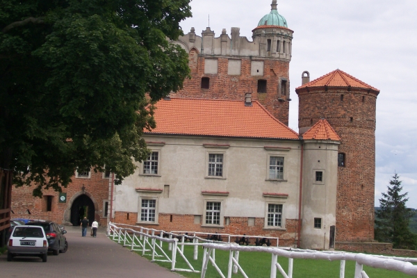 Zdjęcie z Polski - Zamek Golub - Dobrzyń