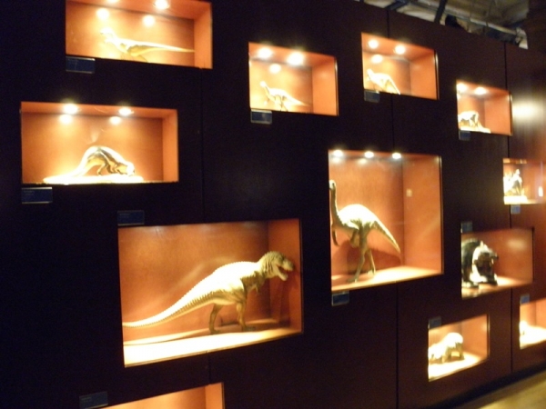 Zdjęcie z Wielkiej Brytanii - Natural History Museum