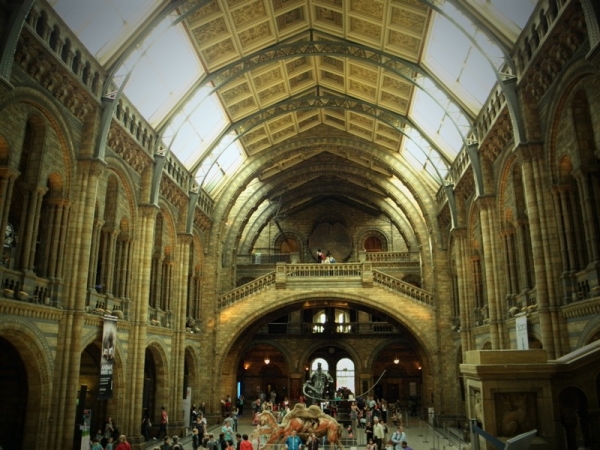 Zdjęcie z Wielkiej Brytanii - Natural History Museum