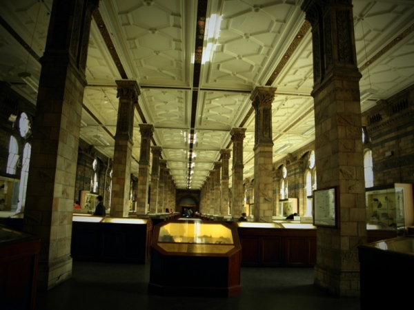 Zdjęcie z Wielkiej Brytanii - Natural History Museum