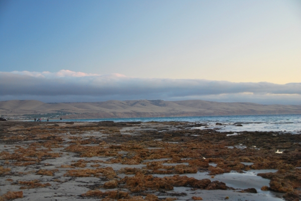 Zdjęcie z Australii - Odplyw na Aldinga Beach