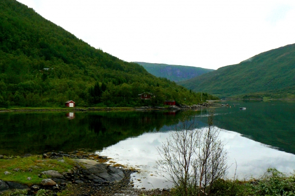 Zdjęcie z Norwegii - 
