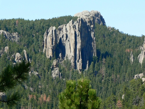 Zdjęcie ze Stanów Zjednoczonych - black hills nat. forrest