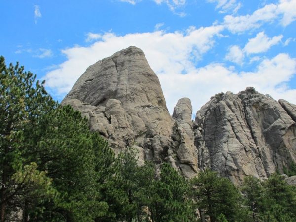 Zdjęcie ze Stanów Zjednoczonych - black hills nat. forrest