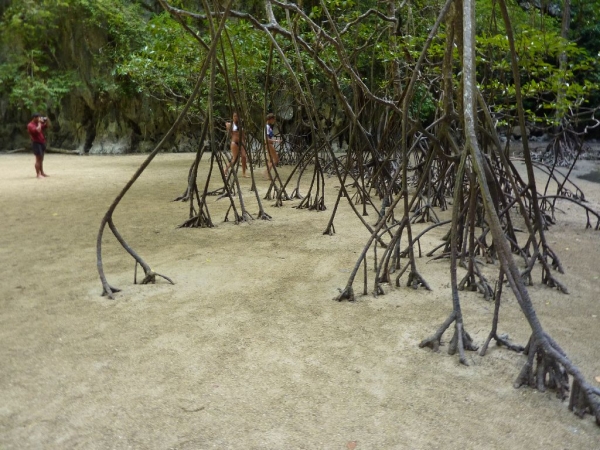 Zdjęcie z Tajlandii - Phang Nga - jaskinia