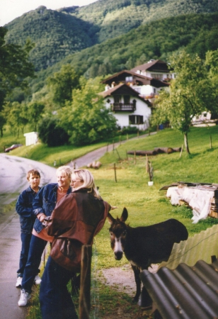 Zdjęcie z Austrii - Spotkanie z osiolkiem