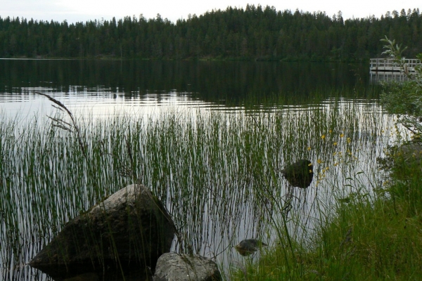 Zdjęcie ze Szwecji - 