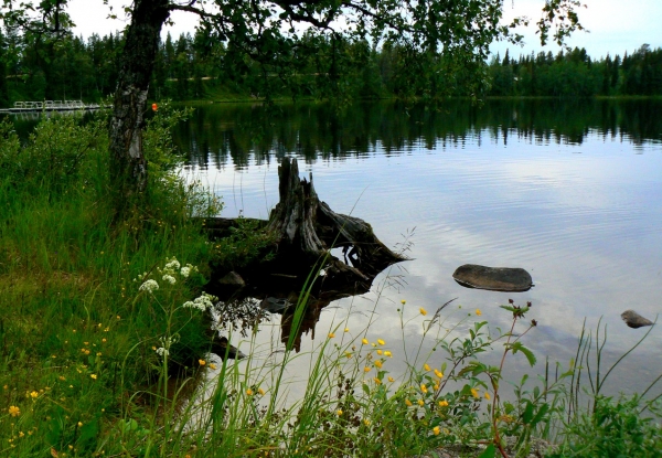 Zdjęcie ze Szwecji - 
