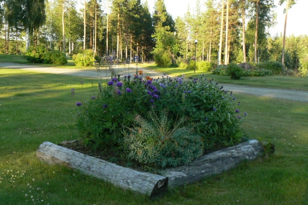 Zdjęcie ze Szwecji - kwiaty "udomowione"