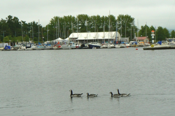Zdjęcie ze Szwecji - Östersund