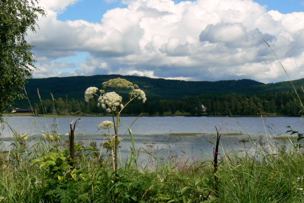 Zdjecie - Szwecja - Åsarna - Sveg - Dalarna 