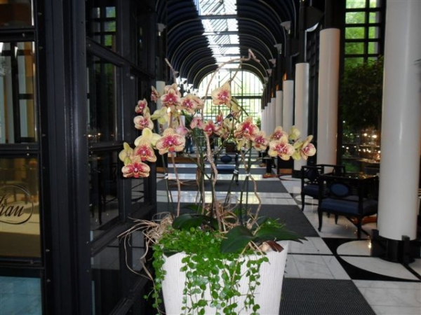 Zdjęcie ze Szwajcarii - hotel w Interlaken