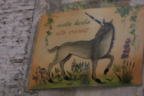 Zdjęcie z Polski - 