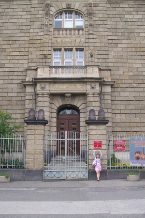 Zdjęcie z Polski - 