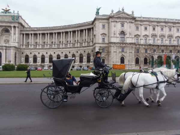 Zdjęcie z Austrii - 