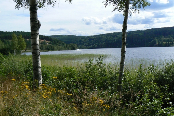 Zdjęcie z Norwegii - 