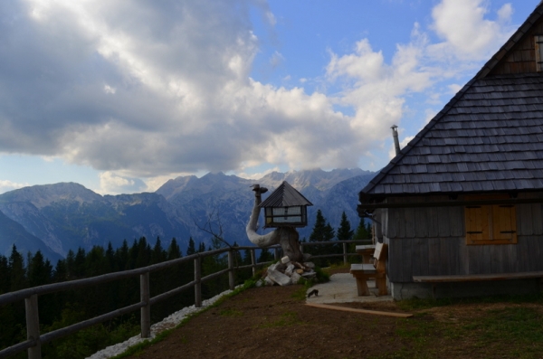 Zdjęcie ze Słowenii - Velika planina