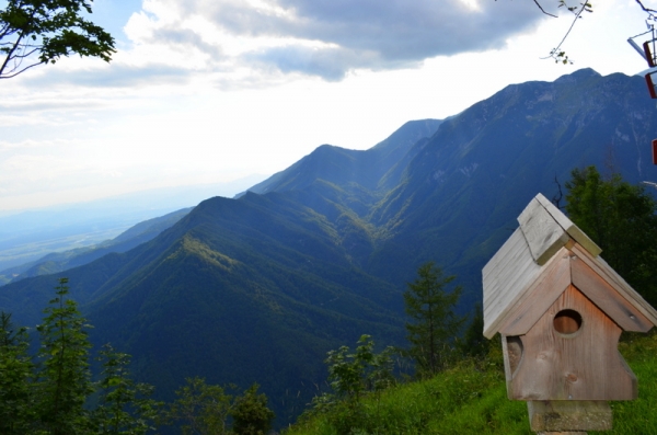 Zdjęcie ze Słowenii - Velika planina