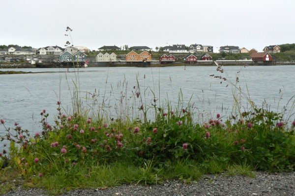 Zdjęcie z Norwegii - Brønnøysund