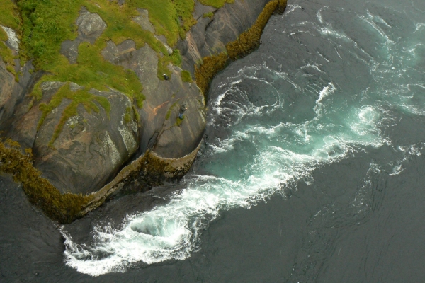 Zdjęcie z Norwegii - Bodo - Saltstraumen