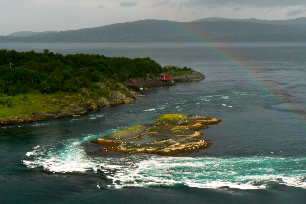 Zdjęcie z Norwegii - Bodo - Saltstraumen