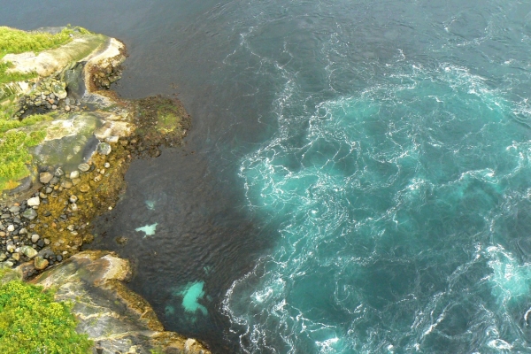 Zdjęcie z Norwegii - Bodo - Saltstraumen