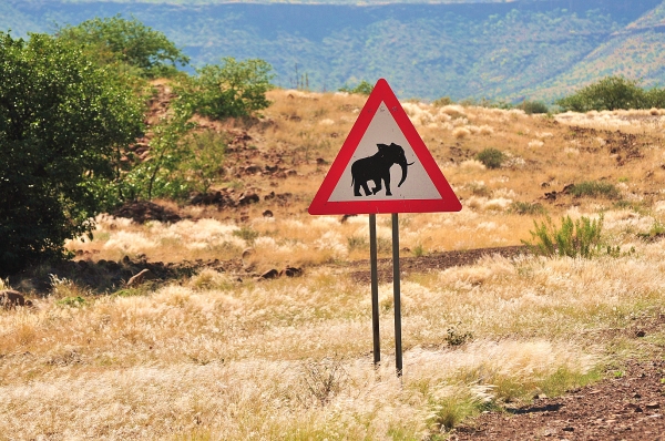 Zdjęcie z Namibii - 