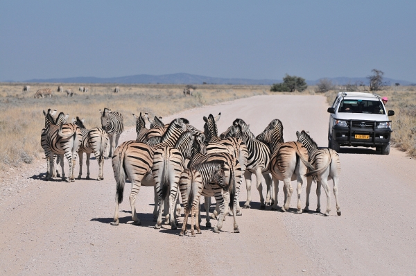 Zdjęcie z Namibii - 