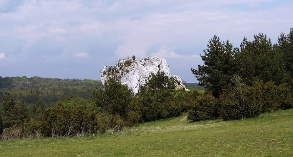 Zdjęcie z Polski - 