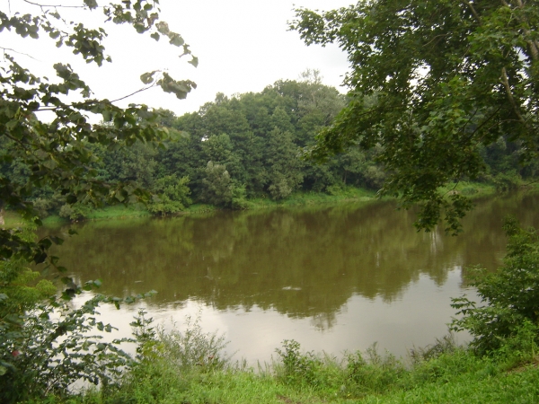 Zdjęcie z Litwy - Niemen