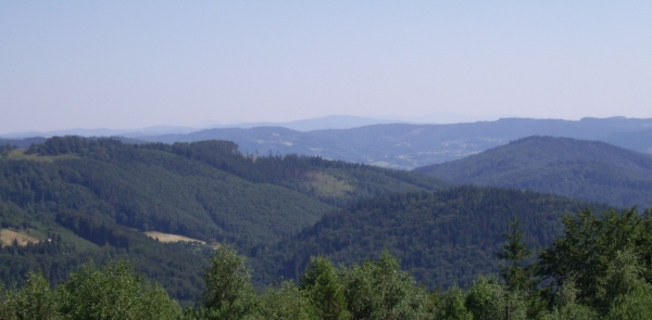 Zdjęcie z Polski - 