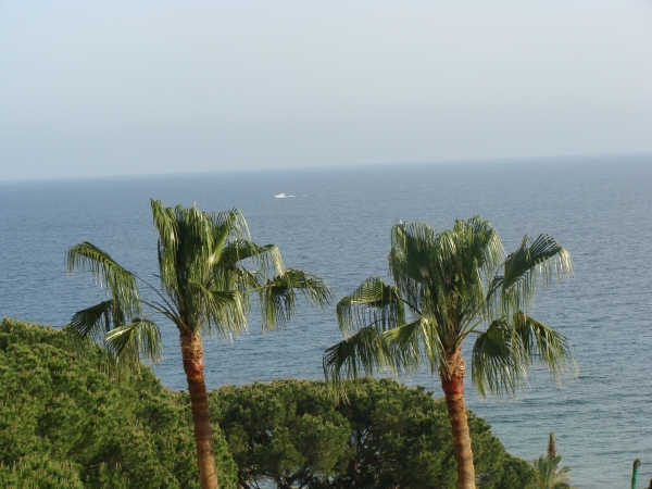 Zdjęcie z Hiszpanii - Costa del Sol