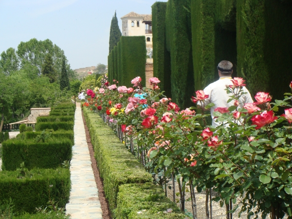 Zdjęcie z Hiszpanii - Alhambra