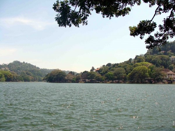 Zdjęcie ze Sri Lanki - 