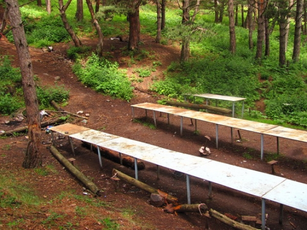 Zdjęcie z Gruzji - Picnic-area z Kaukazu.