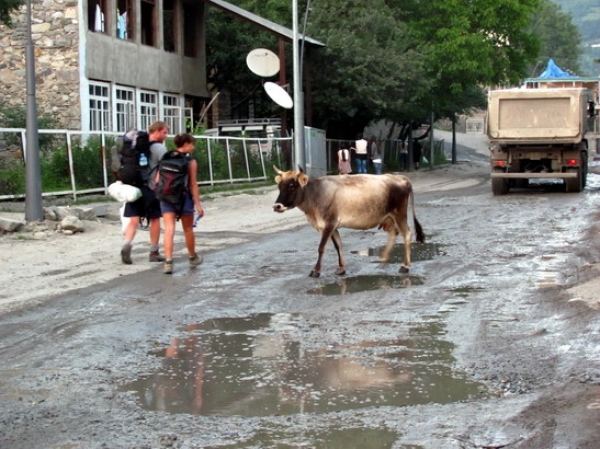 Zdjęcie z Gruzji - Mestia - miasto UNESCO.