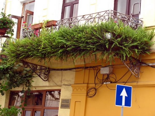 Zdjęcie z Gruzji - Pomysłowy balkon.