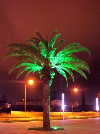 Zdjęcie z Gruzji - Batumi by night.