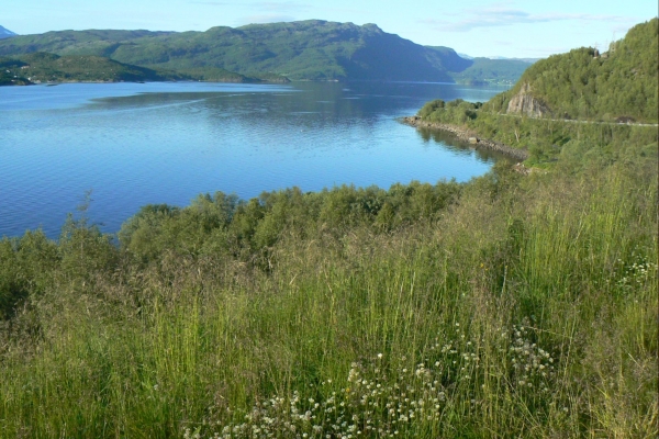 Zdjęcie z Norwegii - Narwik