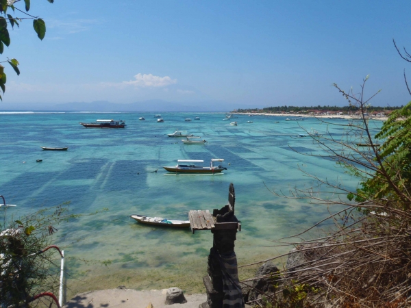 Zdjęcie z Indonezji - Widok na pola algowe, 