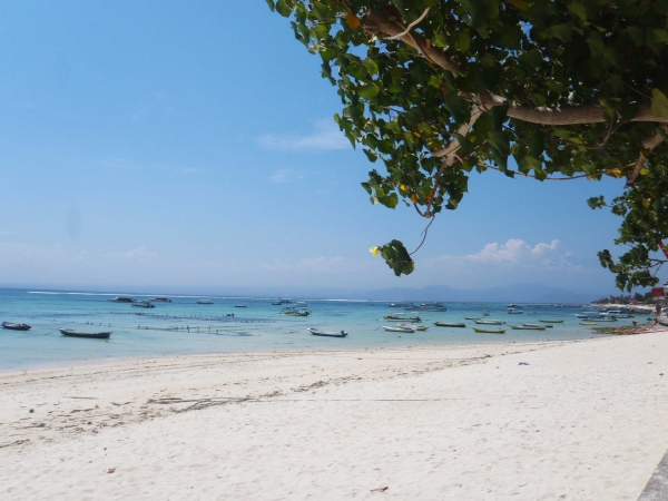 Zdjęcie z Indonezji - Plaza Mushroom Beach