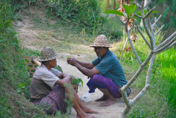 Zdjęcie z Indonezji - Pogawedka posrod pol